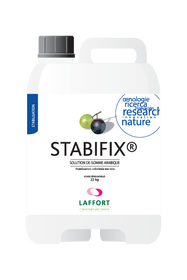 STABIFIX ® 22 kg Guma Arabska