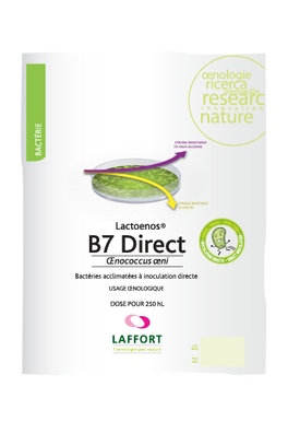 LACTOENOS B7 DIRECT dawka na 2,5 hl Bakterie