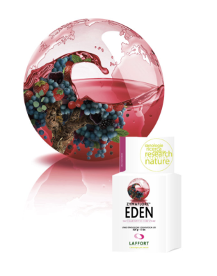 Drożdże do wina Zymaflore Eden 500g