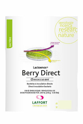 LACTOENOS® BERRY Direct dawka na 25 hl Bakterie
